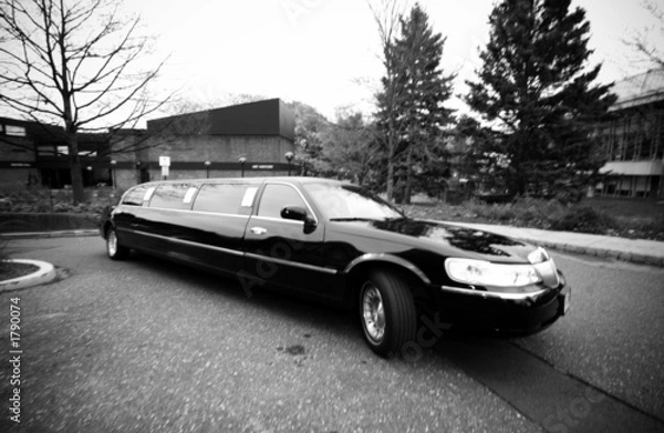 Obraz limo