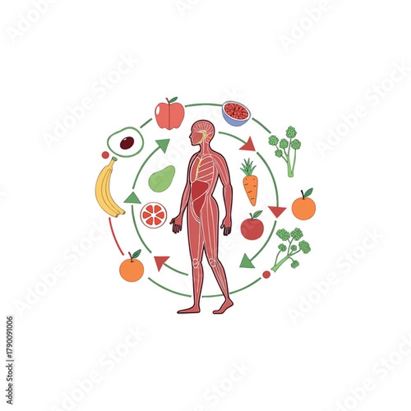 Fototapeta Fresh healthy food with flying vegetables and fruits. Flat vector illustration of different meal with tomato, cucumber, bell pepper, apple, and carrot. Organic food concept, diet and healthy lifestyle