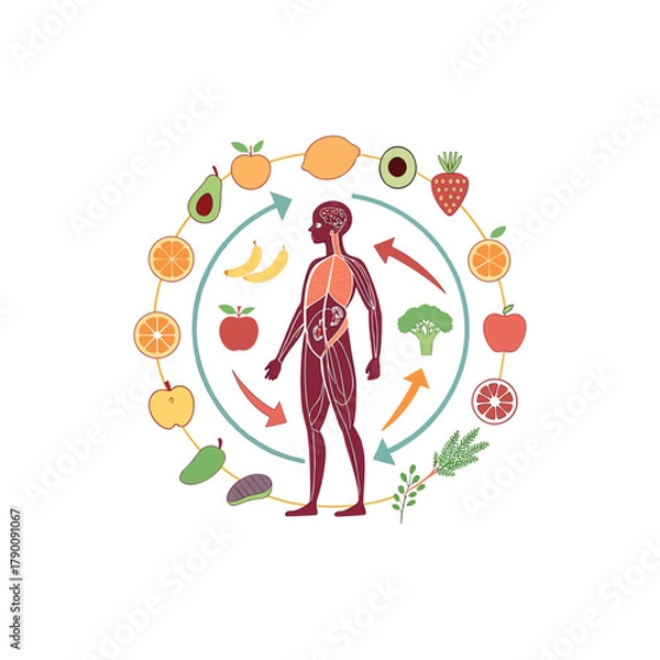 Fototapeta Fresh healthy food with flying vegetables and fruits. Flat vector illustration of different meal with tomato, cucumber, bell pepper, apple, and carrot. Organic food concept, diet and healthy lifestyle