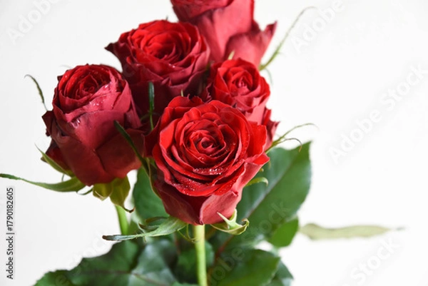 Fototapeta 赤いばら