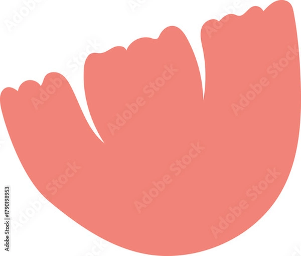 Fototapeta Coral Pink Tulip