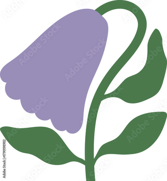 Obraz Purple Bell Flower