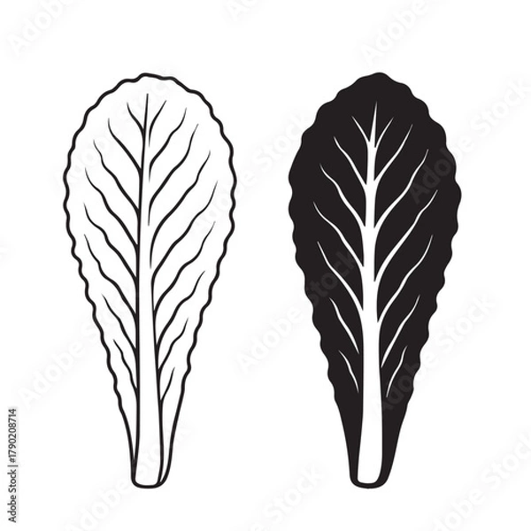 Obraz Cabbage Leaf Silhouette Vector Illustration Isolated on White Background