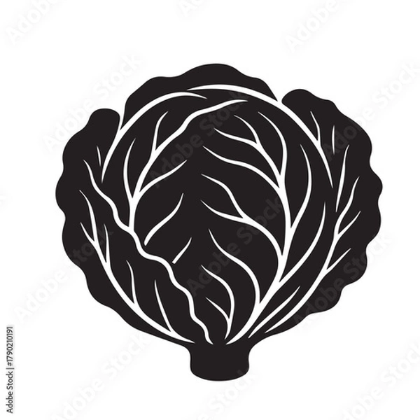 Obraz Cabbage Silhouette Vector Illustration Isolated on White Background
