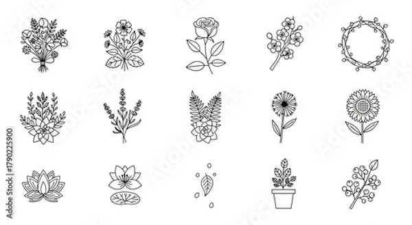 Fototapeta Variety of botanical line art sketches for design and decoration projects showcasing plant diversity