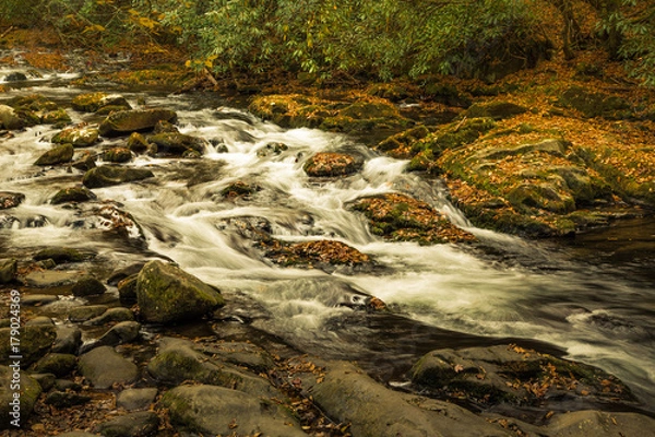 Obraz Great Smoky Mountain Stream