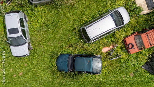 Fototapeta Several old, rusting cars are spread across a lush green field with overgrown grass.