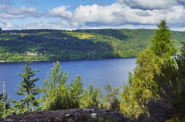 Obraz Forest view loch ness