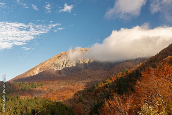 Fototapeta 秋と大山