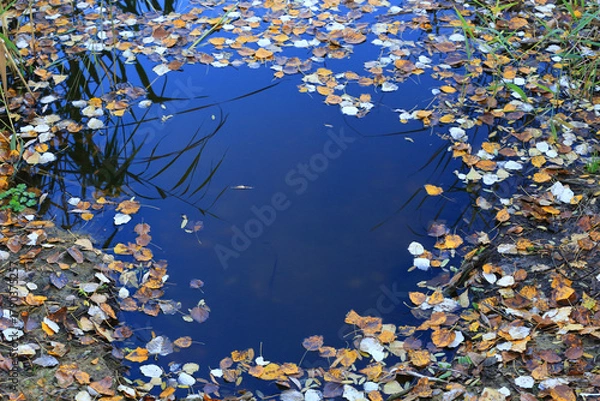 Obraz autumn lefage on lake water surface