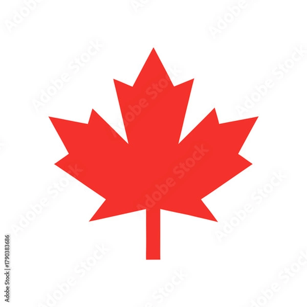 Fototapeta Elegant Maple Leaf Minimal Nature Themed Illustration Icon Line Art Vector illustration