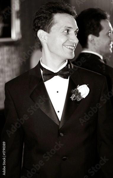 Obraz groom