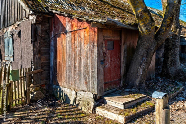 Fototapeta Wooden shed near a tree in Valdemarpils, Latvia, reflecting rustic charm and nature
