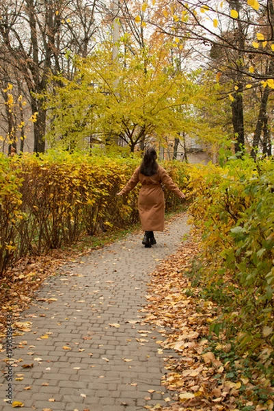 Fototapeta Woman in brown coat walking along an alley in an autumn park	