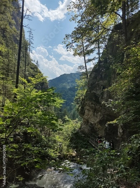 Obraz mountain river in the Austrian mountains