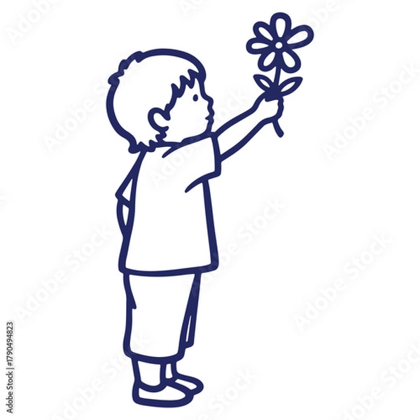 Fototapeta Child offering flower illustration line drawing vector graphic simple design kid holding out a blossom in a gesture of giving