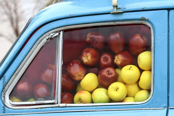 Fototapeta Ripe yellow and burgundy apples in the window of a blue car