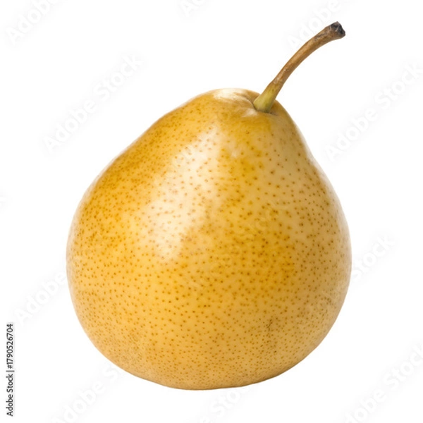 Fototapeta A whole custard pear isolated on a transparent background
