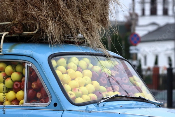 Fototapeta A car with hay on the roof, with a full interior of yellow and burgundy apples against the background of a white church