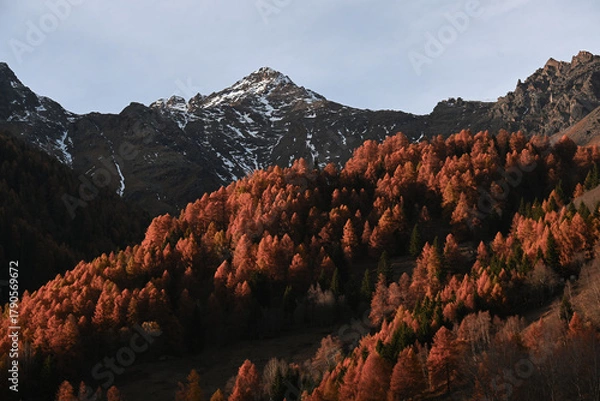 Obraz panorama montagna autunno Pejo Trentino 