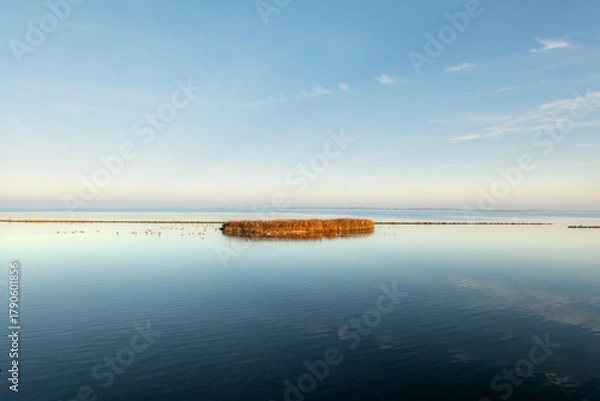 Obraz Sunrise over the Haringvliet in the Dutch delta, from a bird observation hut at Hellegatsplein, on a sunny autumn day at dawn. Greylag geese dominate the water.