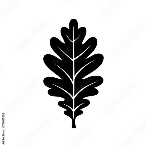 Fototapeta Oak leaf symbolizing nature, strength, growth, and autumn foliage with a focus on eco themes and natural design.