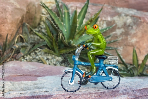 Obraz Green frog on a blue bicycle in front of rocks and plants