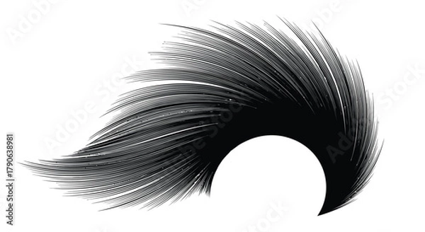Fototapeta Dramatic abstract black feather shape with flowing lines and elegant curves