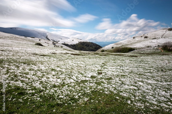 Fototapeta Long exposure photo of a mountain scenery with green grass and melting snow, under a blue sky with moving clouds