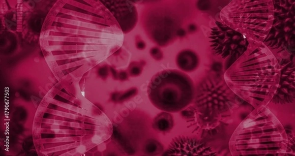 Fototapeta Framing DNA helices filling left and right edges in medical graphic, showing blurred cell bodies