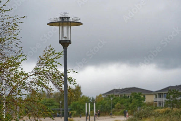 Obraz Park lamp with anti bird spikes lining the top roof