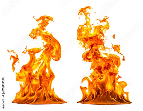 Obraz Vivid orange flames dance against black, two fiery forms