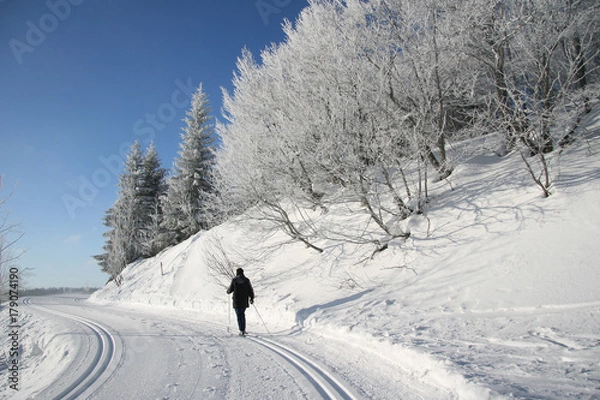 Fototapeta Langlaufen am Feldberg