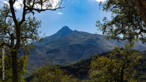 Obraz Mountain in Spain