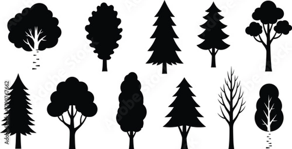 Fototapeta A collection of silhouette illustrations of various deciduous and coniferous trees.