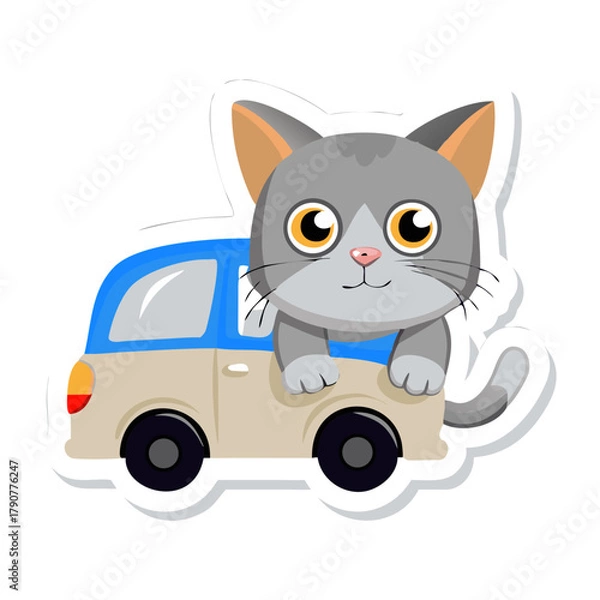 Fototapeta cat with a toy