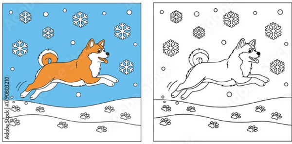 Fototapeta Cute Akita Dog Playing in Snow with Snowflakes and Paw Prints - Winter Coloring Page Design for Children and Adults