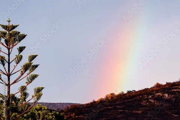 Obraz Rainbow forming above hillside at sunset