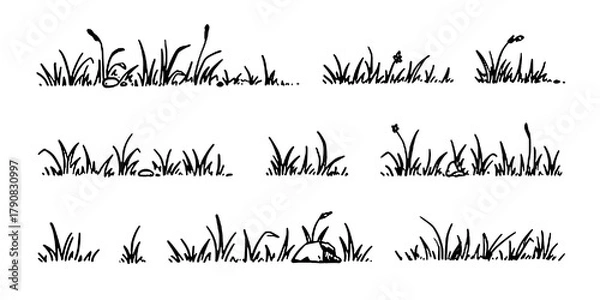 Fototapeta Grass doodle sketch style set. Hand drawn grass field outline scribble background. Sprout, flower, clover elements. 