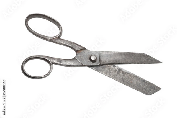 Obraz scissors