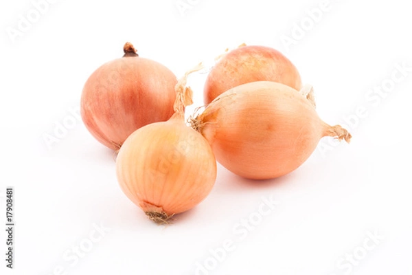 Obraz Onion