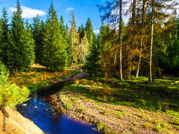 Obraz Bergbach am Oderteich