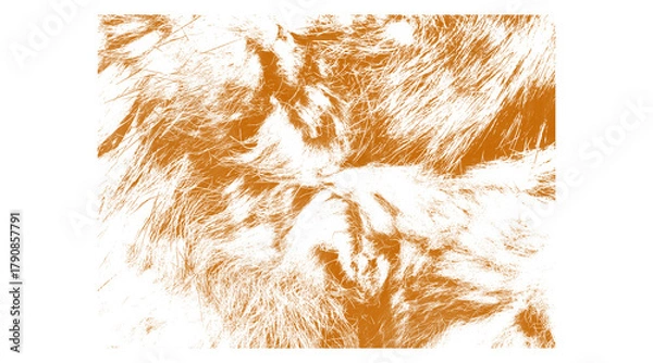 Obraz Abstract depiction of fur texture in shades of orange and white art