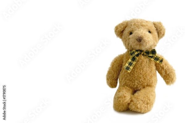Obraz teddy bear