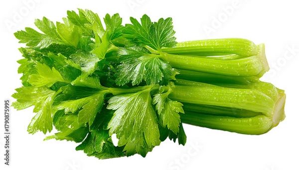 Fototapeta Celery stalk with leaves close up, Fresh organic celery vegetable