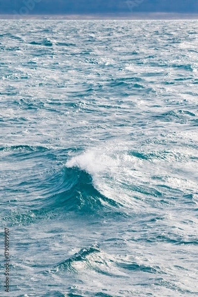 Obraz Blue ocean surface with small breaking wave