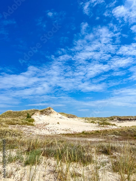 Fototapeta Pristine white sand dunes with green grasses under vibrant blue sky in Leba Poland Baltic Sea nature reserve. High quality photograph