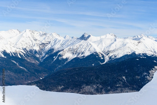 Fototapeta A beautiful snowy mountain range with tall trees in the foreground