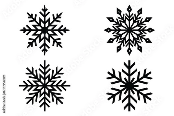 Fototapeta snowflake vector icon icon set, black color and white background
