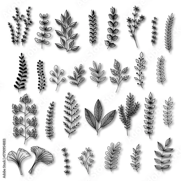 Obraz vector set of wheat ears set of black and white flowers Set of Flower icons Silhouettes, Abstract botanical flower icon, vector botany floral design Cute round flower plant nature collection, Vector 